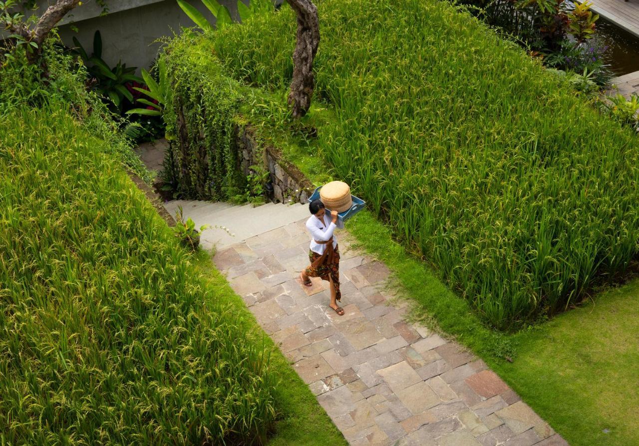 Adiwana Suweta Otel Ubud Dış mekan fotoğraf A farmer in Bali